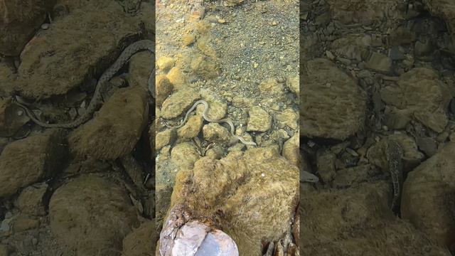 Когда уснул на охоте😁