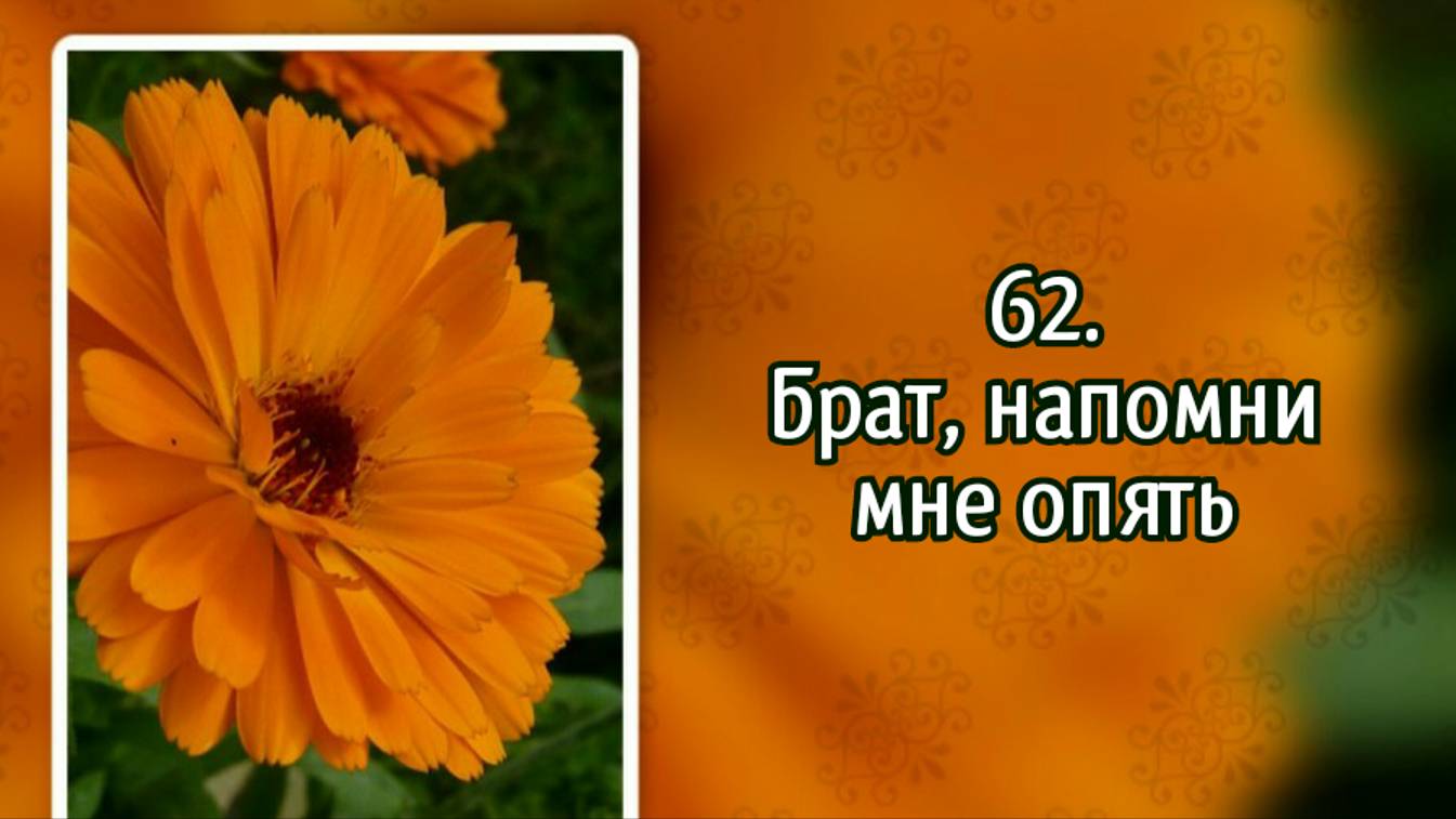Гимны надежды 62 Брат, напомни мне опять (-) смотреть онлайн