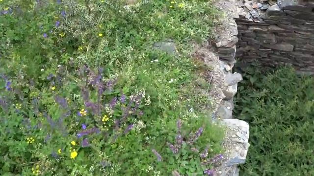 Цумада. Водяные мельницы. Купание в Койсу. Водопад. Гостеприимство горцев смотреть онлайн