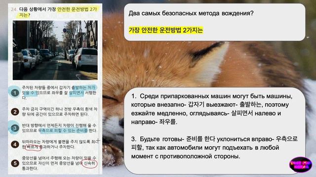 🚗 운전면허 PLUS Фото № 24 водительские права смотреть онлайн