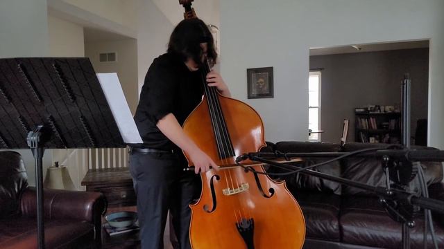 Bottesini Concerto no. 2-1st Movement смотреть онлайн