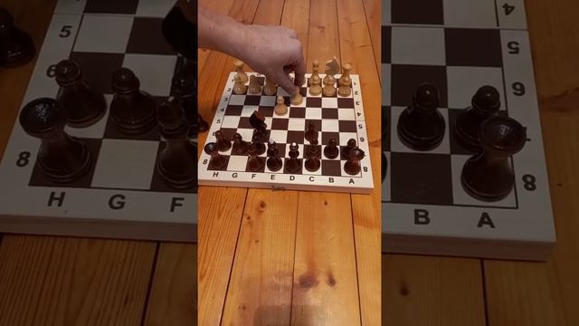 Шахматы. Отличная шахматная ловушка за черных! #шахматырулят смотреть онлайн