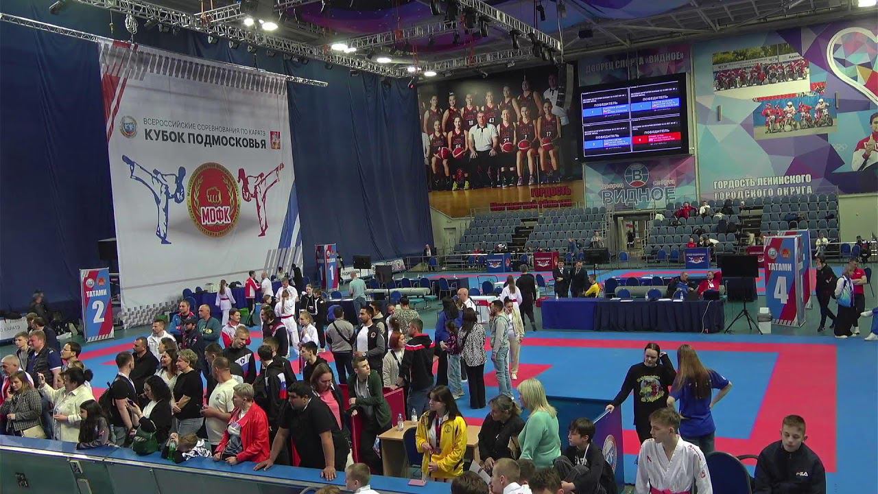 Кубок Подмосковья по каратэ 2024 смотреть онлайн