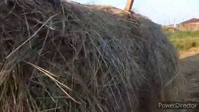 #сенокос#т40ам #2022 Привет #АЛЕКС-ЮСТАСУ смотреть онлайн