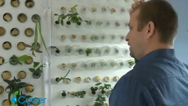 Аэропоника - коммерческий проект. смотреть онлайн