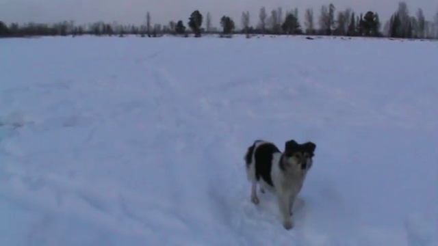 по рекам Сибири рыбачим в черте города смотреть онлайн