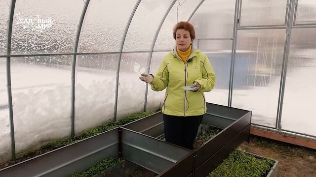 Высокие грядки в теплице | Обзор на Сибирские грядки смотреть онлайн