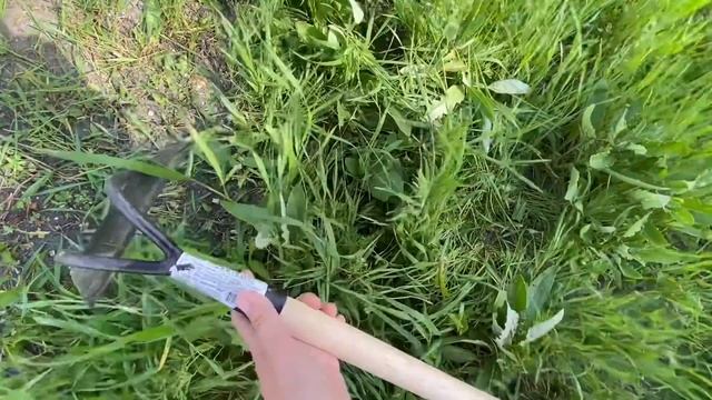 #Натухаевская Новый журнал «Жуки и пауки»/Досадили огород/Посоветуйте цвет. смотреть онлайн