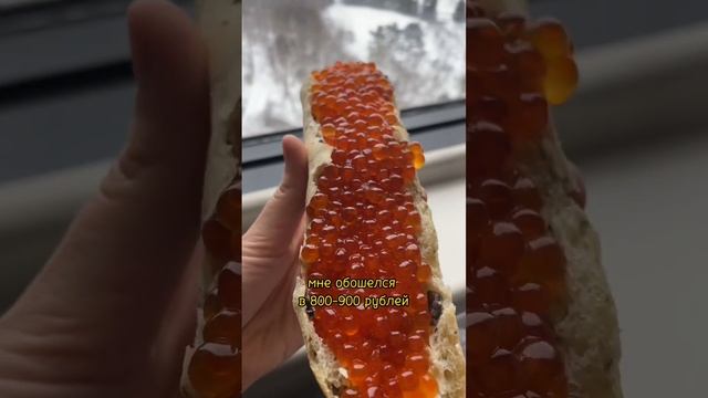 Живу - дорого и красиво #путешествия #япония #travel #икра #еда #токио #хоккайдо #сандвич смотреть онлайн