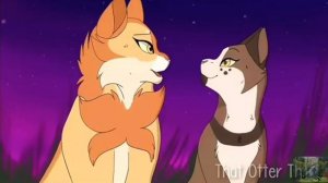 Мотылинка иЛиствичка.Клип-коты воители🐱🍃