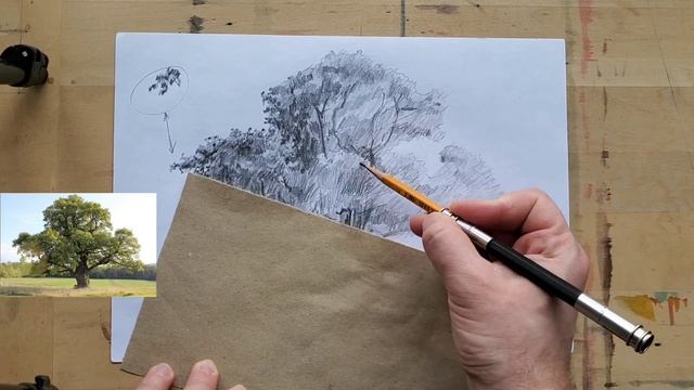 Рисунок дерева карандашом. Дуб, учимся рисовать дерево #научитьсярисовать #какрисовать #карандаш смотреть онлайн
