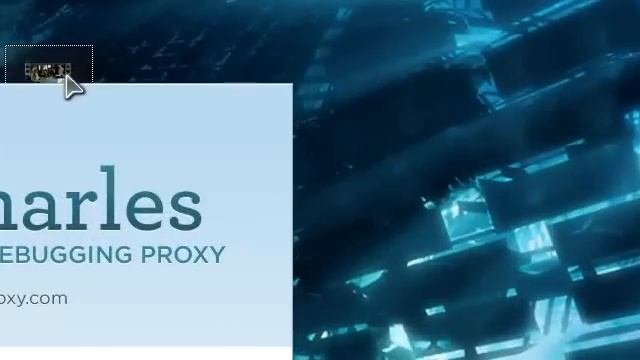 como poner tacos gratis en pool live tour смотреть онлайн