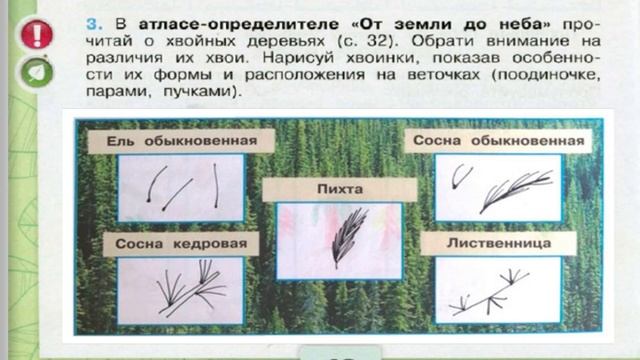 Окружающий мир. Рабочая тетрадь 4 класс 1 часть. ГДЗ стр. 42 №3 смотреть онлайн