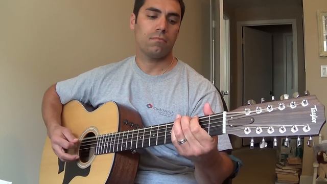 Taylor 12 string Model 356e смотреть онлайн