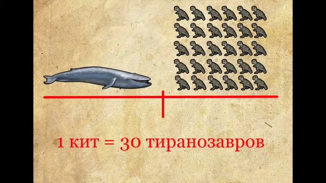 Синий кит без голоса смотреть онлайн