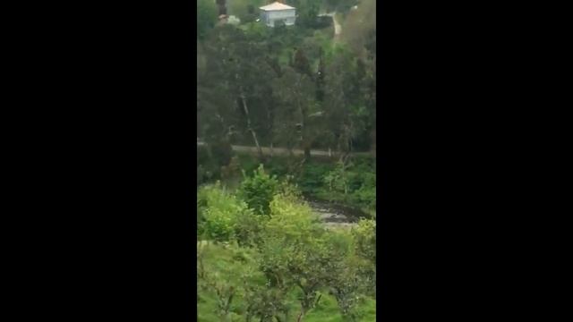 Дом в Бобоквати смотреть онлайн