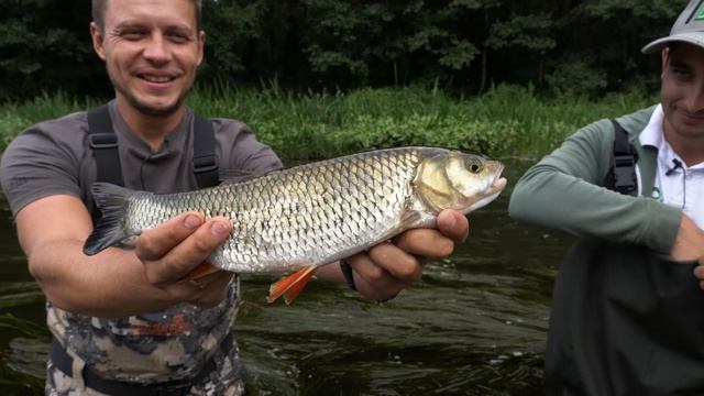 Ловля голавля на кузнечика. Рыбалка Лисовского. смотреть онлайн