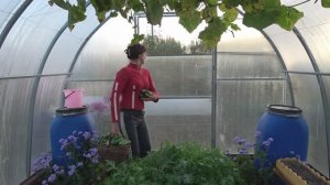 6 соток 28 сентября 2023 года Хроника