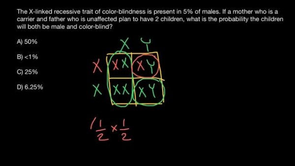 How to solve simple probability problems in genetics