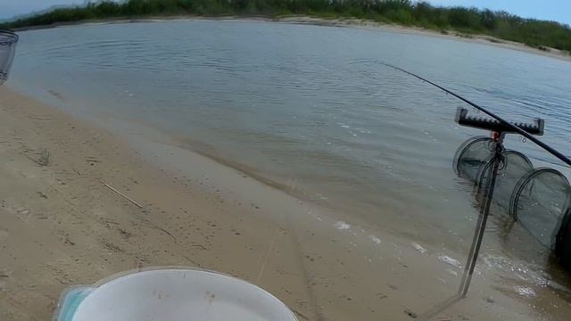 РЫБАЛКА на ФИДЕР. Отличный клев КАРАСЯ. Ловим ЛЕЩА. смотреть онлайн