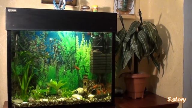 Мой самодельный аквариум смотреть онлайн