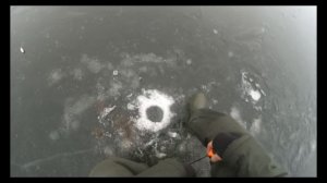 Ловля плотвы зимой на пруду + приятный бонус. Калужская область, декабрь  2019