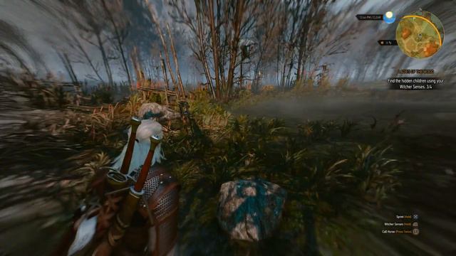 The Witcher 3: PlayThrough Part 33 (PlayStation 4) Hide N Seek.... смотреть онлайн