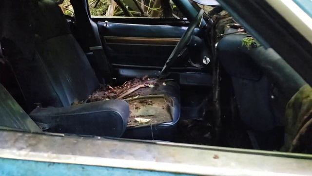1978 Ford Ltd Station wagon. Buried in concrete. смотреть онлайн