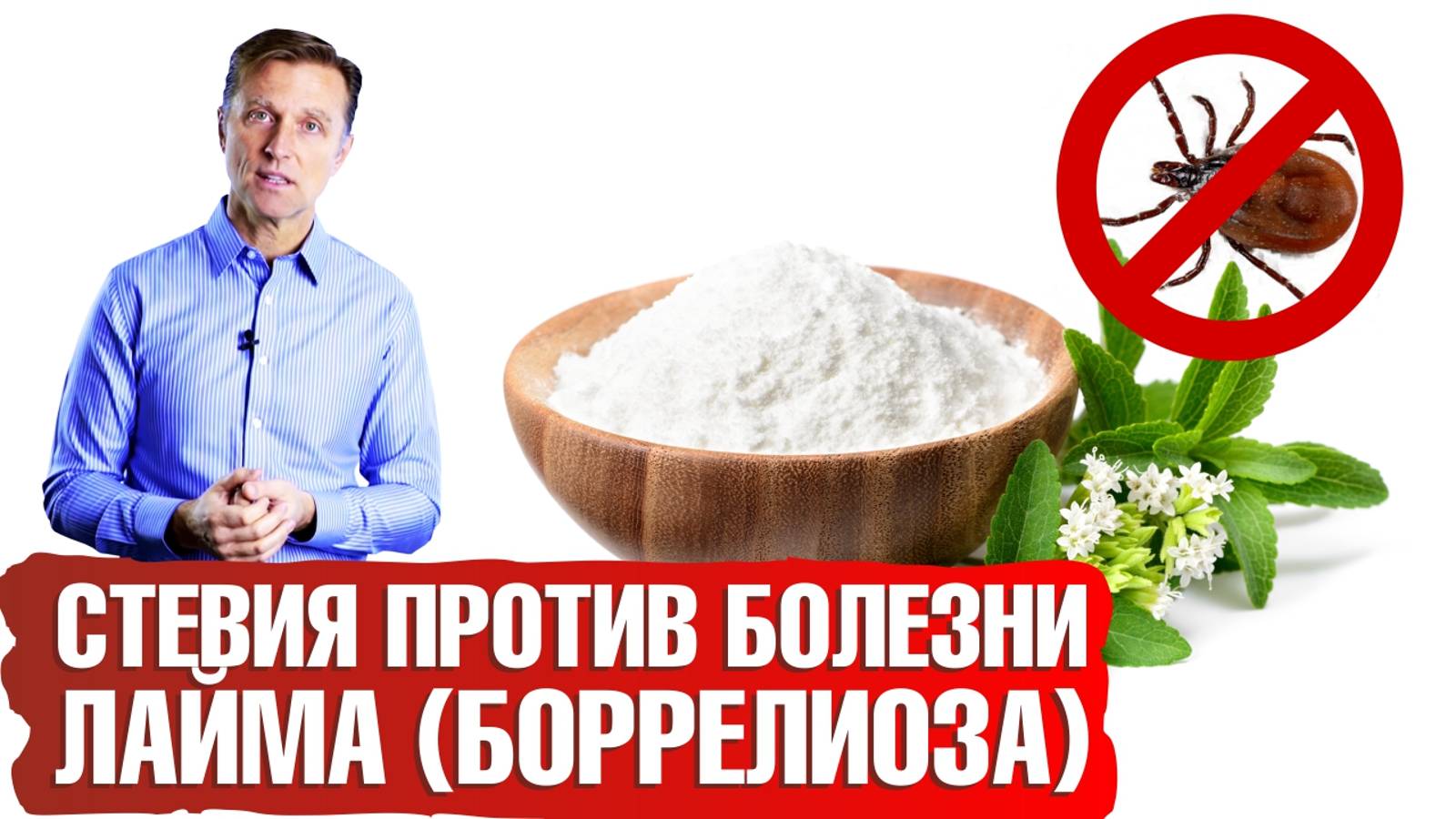 Стевия убивает патоген, вызывающий болезнь Лайма (боррелиоз)☠️ смотреть онлайн