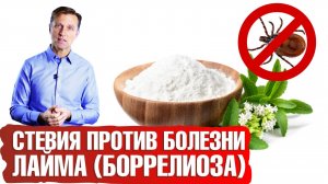 Стевия убивает патоген, вызывающий болезнь Лайма (боррелиоз)☠️