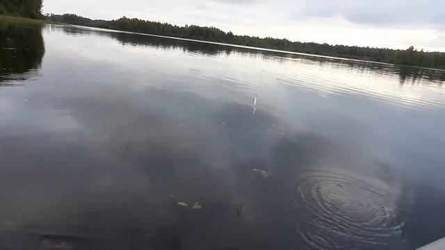 Лидское озеро смотреть онлайн