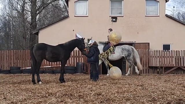Жеребчик и его мама знакомятся с большими и "страшными" шарами :) ЧК Реприз СПб. смотреть онлайн
