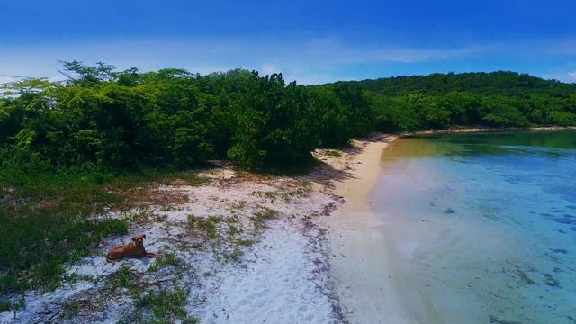 【4K】🇵🇷 Drone RAW Footage 🔥 This Is PUERTO RICO 2020 🔥 Vieques 🔥 Fajardo 🔥 UltraHD Stock Video