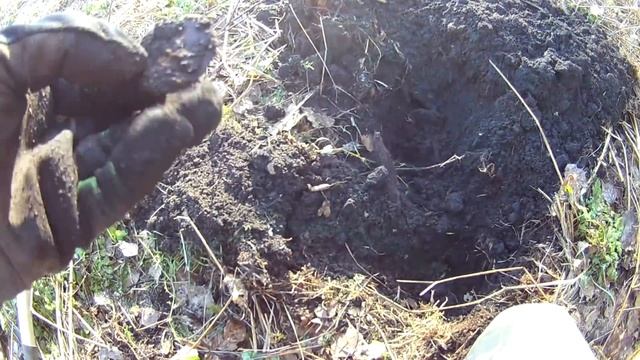 Эквинокс 800 .Находку вырвали из рук,что за дела .Коп 2019. смотреть онлайн