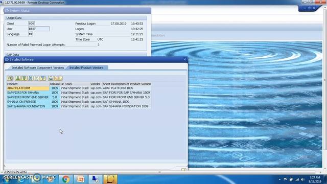 How to find SAP Version смотреть онлайн