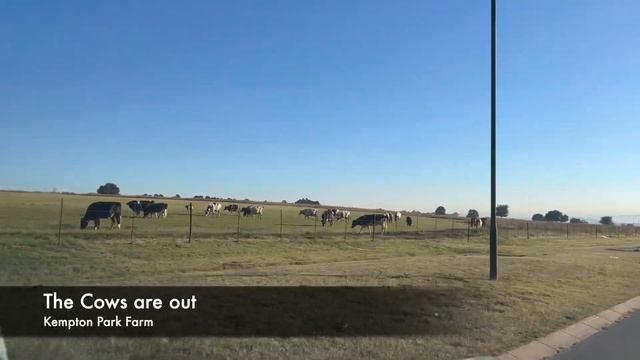 Today in South Africa "15-5-2023" Gauteng , Glen Marais Cold Weather смотреть онлайн