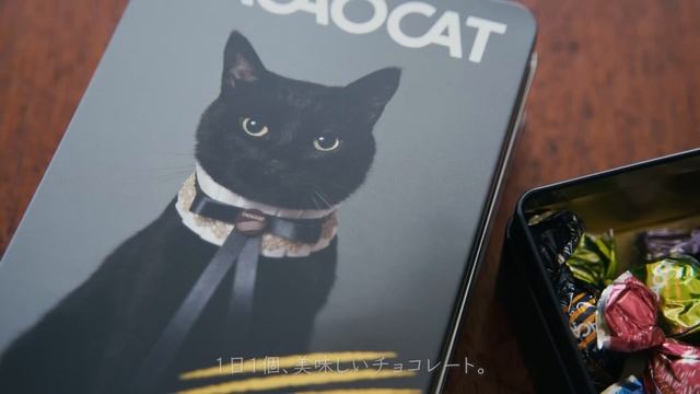 寒い冬の楽しみ。朝食とコーヒー時間、冬の味。 смотреть онлайн