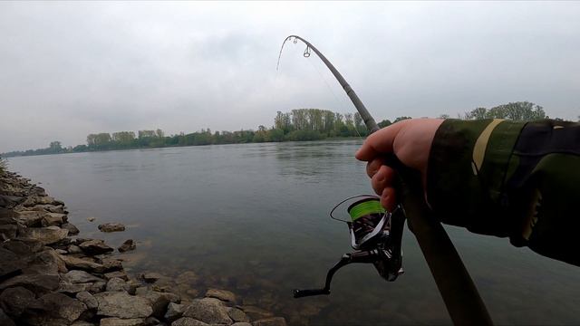 SAVAGE GEAR SG4 Shore Game 2,74m 10-30g .#Sum rozpoczyna Sezon.Zapraszam do Subskrypcji смотреть онлайн