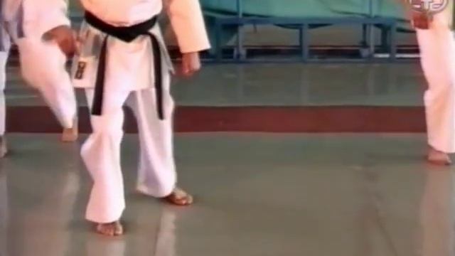 Тигр и восходящее солнце шотокана. Часть 5 смотреть онлайн