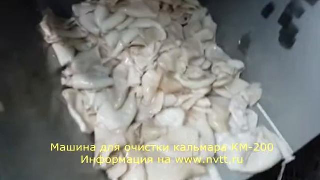 Машина для очистки очистки кальмара КМ-200 смотреть онлайн
