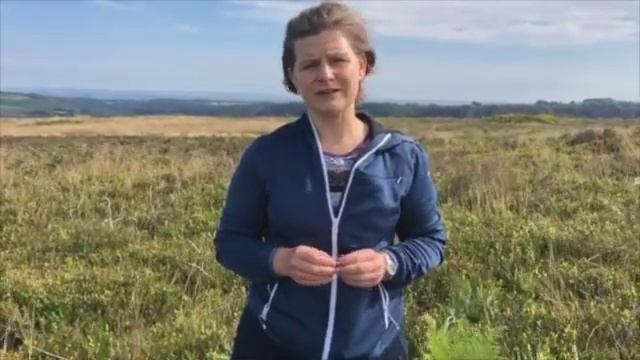 Bilberries (Vaccinium Myrtillus) - A Lockdown Plantlife Video From PBS International