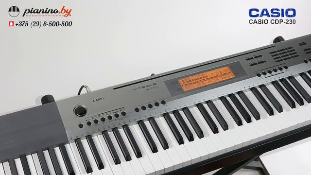 Casio CDP-230/CDP-130 VS Yamaha P-45. На чьей стороне ты?