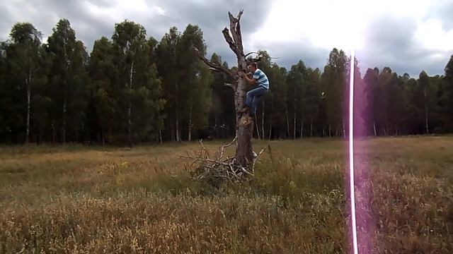 Представление канала, видео на фотоловушку смотреть онлайн