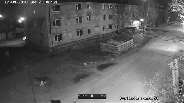 Веб камеры в Славянске ул Светлодарская, д 28 "будьте осторожны бродячие собаки" смотреть онлайн