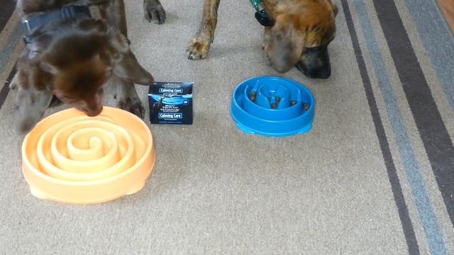 Purina Pro Plan Calming Care Review смотреть онлайн