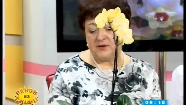 Цветы и серьги смотреть онлайн