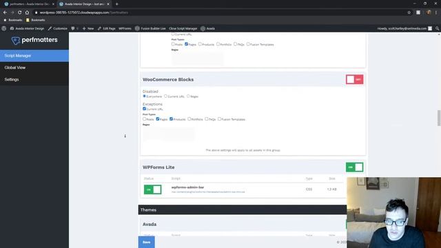 Script Manager Tutorial 2020 - How To Cleanup WordPress Plugin Assets Using Perfmatters Plugin смотреть онлайн