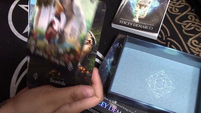 Divine Animals Oracle Deck Review смотреть онлайн