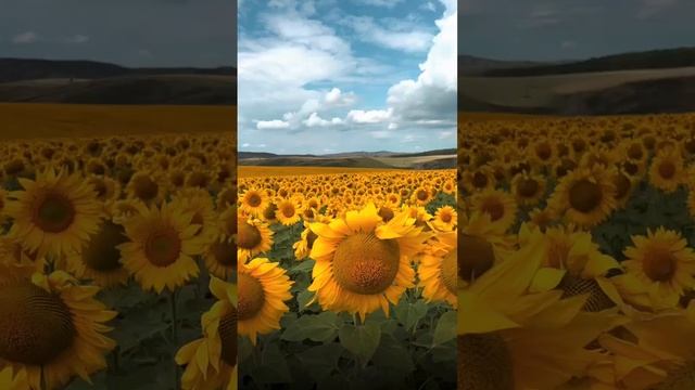 Славяно Арийская #мантра на укрепление связи с Родом смотреть онлайн