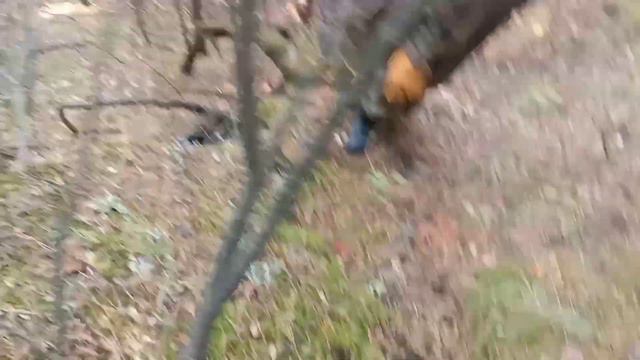 Крутой спуск к берегу Енисея. смотреть онлайн